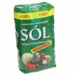 Valgomoji druska internetu